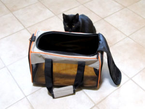 we heart cats carrier