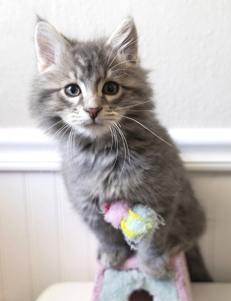 Ready to play!