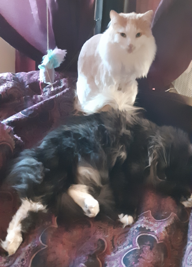 Fergus still loves Kieran