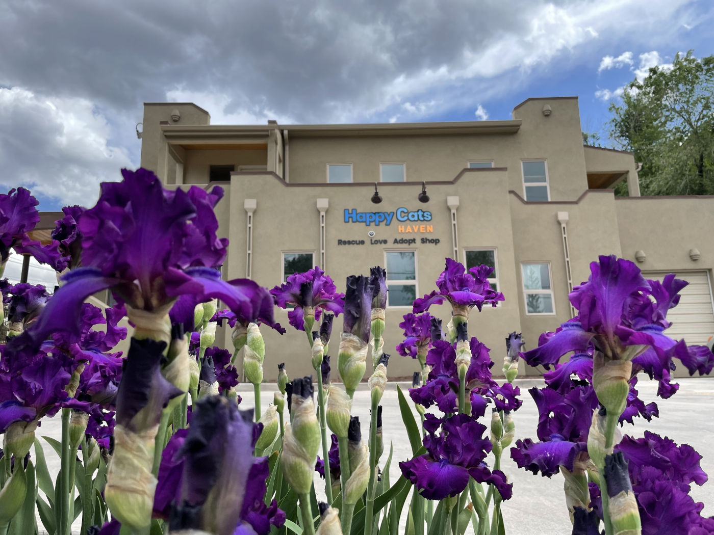 PHCBuildingIrisesFlowersMay2022sm