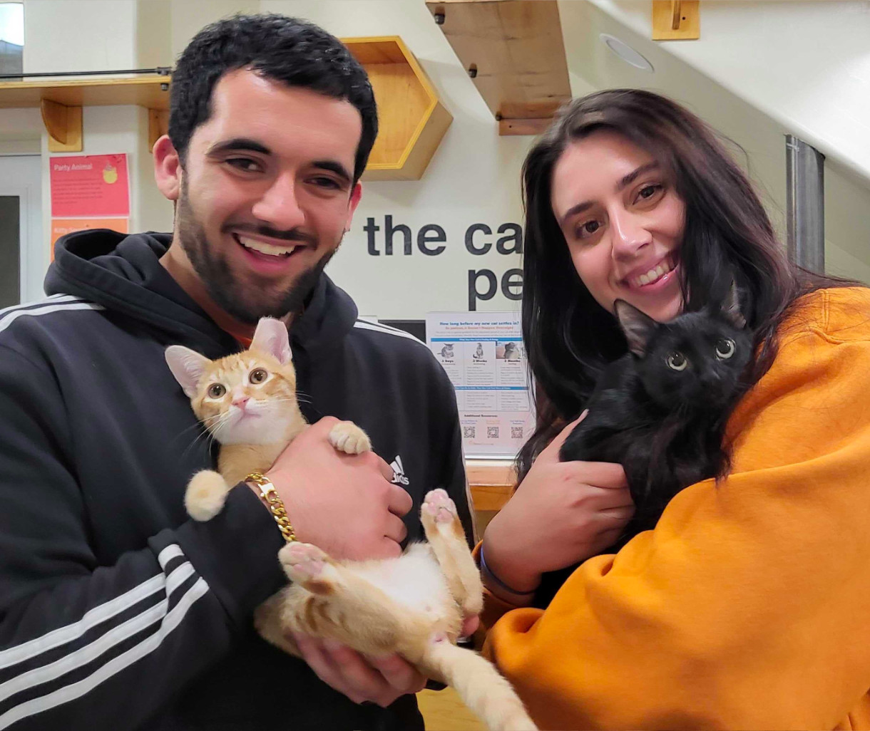 two new owners hold cats at Happy Cats Haven, a cat rescue in Colorado Springs