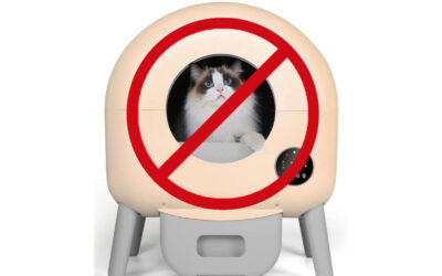 Automatic litter boxes: gift or gaffe?