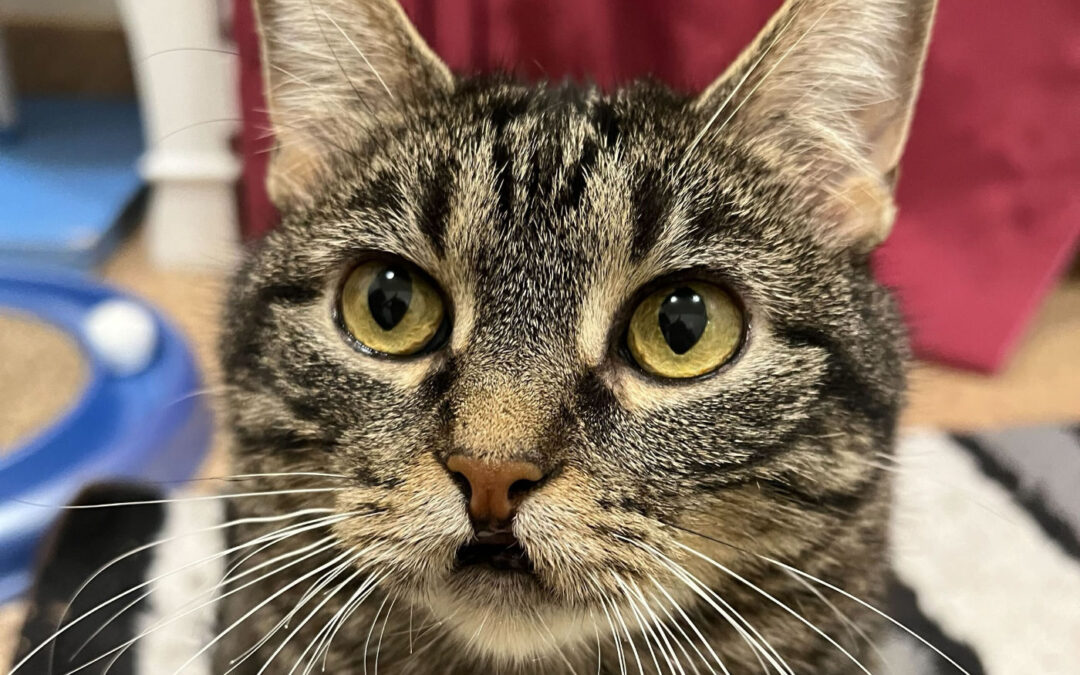 Charlie