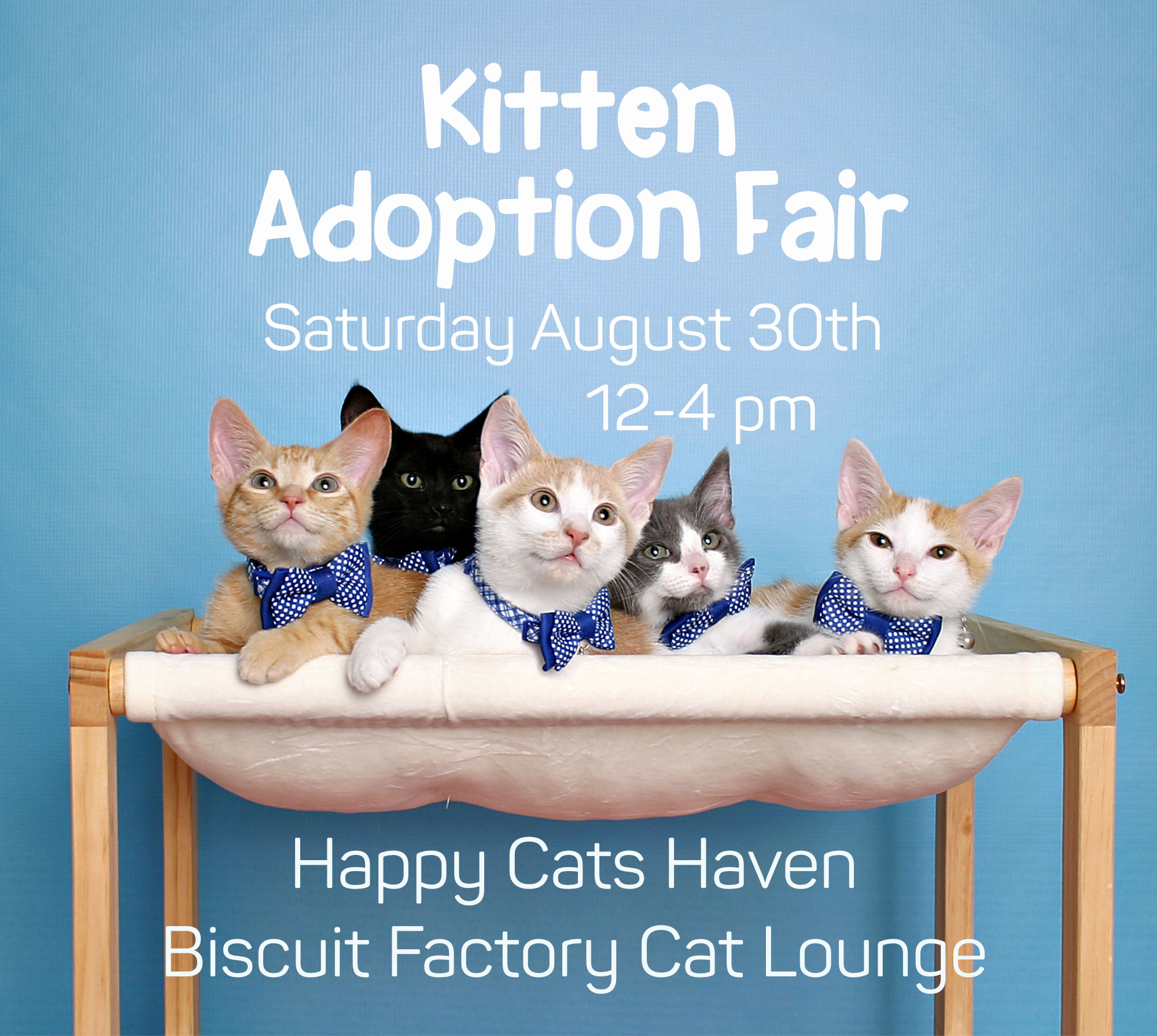 KittenFair5KittensBowtiesBed