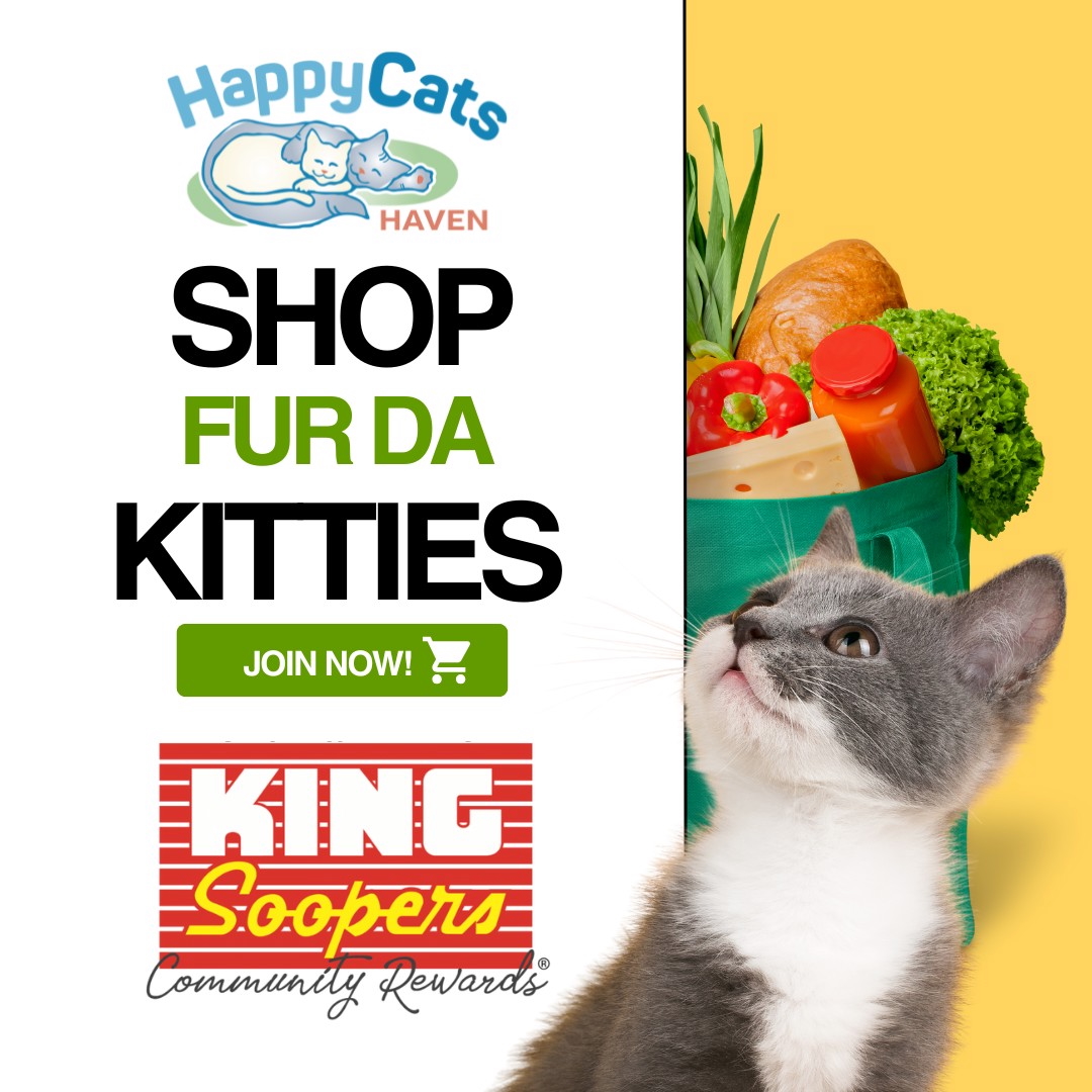 a cat helped by the King Soopers donation program