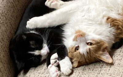 Laszlo’s bestie Doug