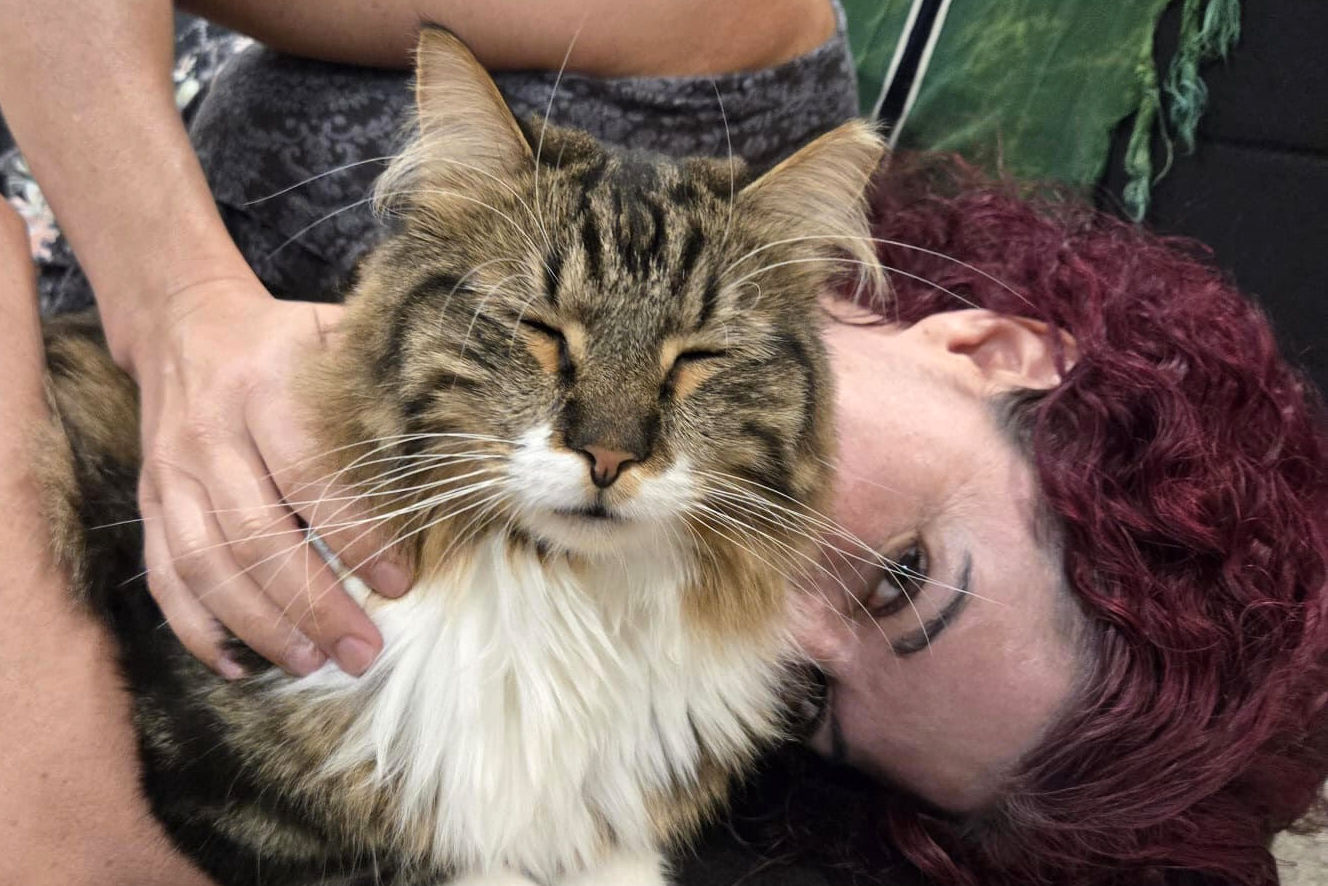 SocksValentineAdopterCuddlesClosesm