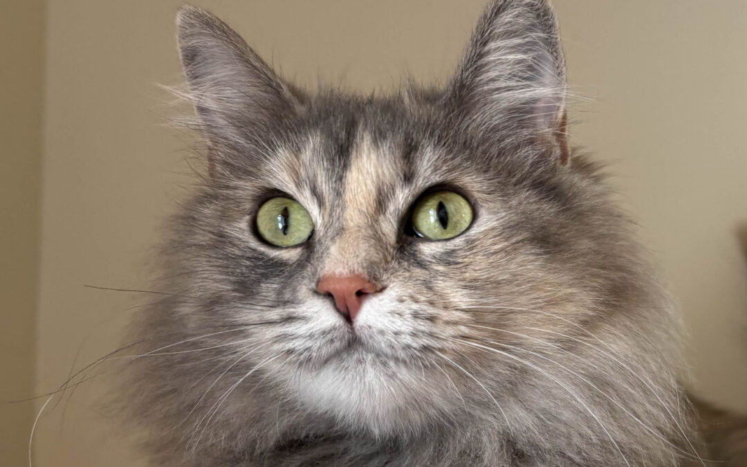 Eleanor